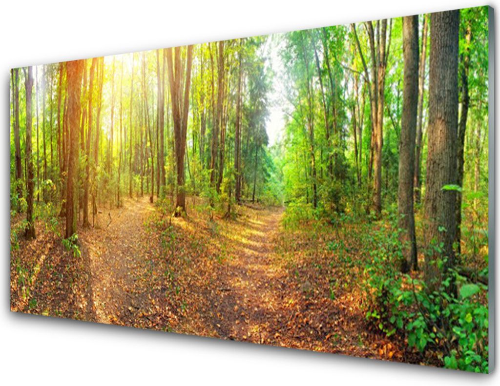 Küchenrückwand aus Glas 100x50cm Spritzschutz Wald Natur