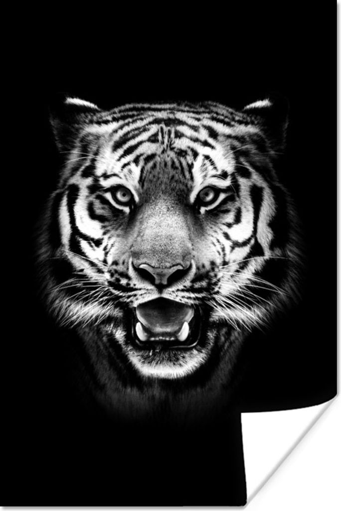 MuchoWow Poster Tiger Kopf gegen schwarzen Hintergrund - schwarz und weiß 20x30 cm - Papierdruck