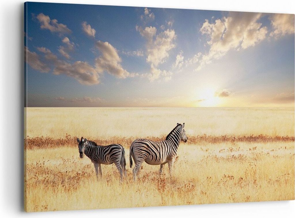 Bild auf Leinwand - Leinwandbild - Zebra tier gestreift savanne - 120x80cm - Wand Bild - Wanddeko - Leinwanddruck - Bilder - Kunstdruck - Wanddekor...