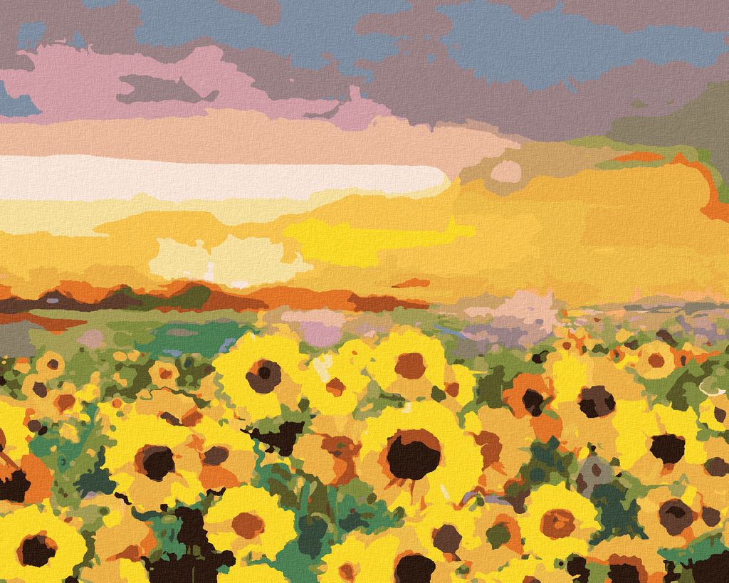 Zuty - Malen nach Zahlen - SONNENBLUMEN AUF EINEM FELD UND SONNENUNTERGANG, 40x50 cm, ohne Keilrahmen