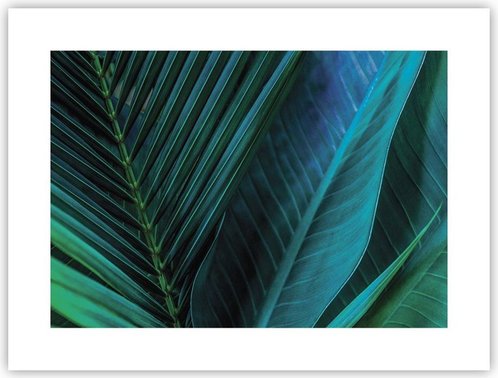 Poster - Poster ohne Rahmen - Blatt Tropen Grün - 40x30 cm - Wand Bild - Wanddeko - Wandbilder - Kunstposter - Wandposter - Bilder - Kunstdruck - ...