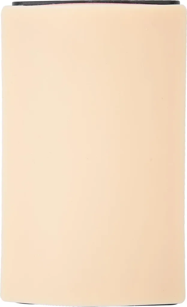 Modèle de suture et simulation d'incision cutanée pour injection 17cm - 5