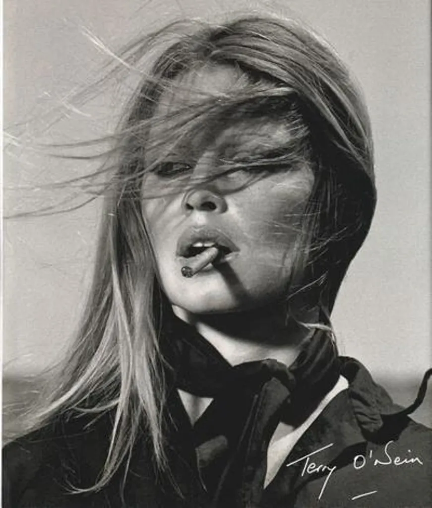 Album Photographique Terry O'Neill : Un Recueil de Portraits de Stars de Rock