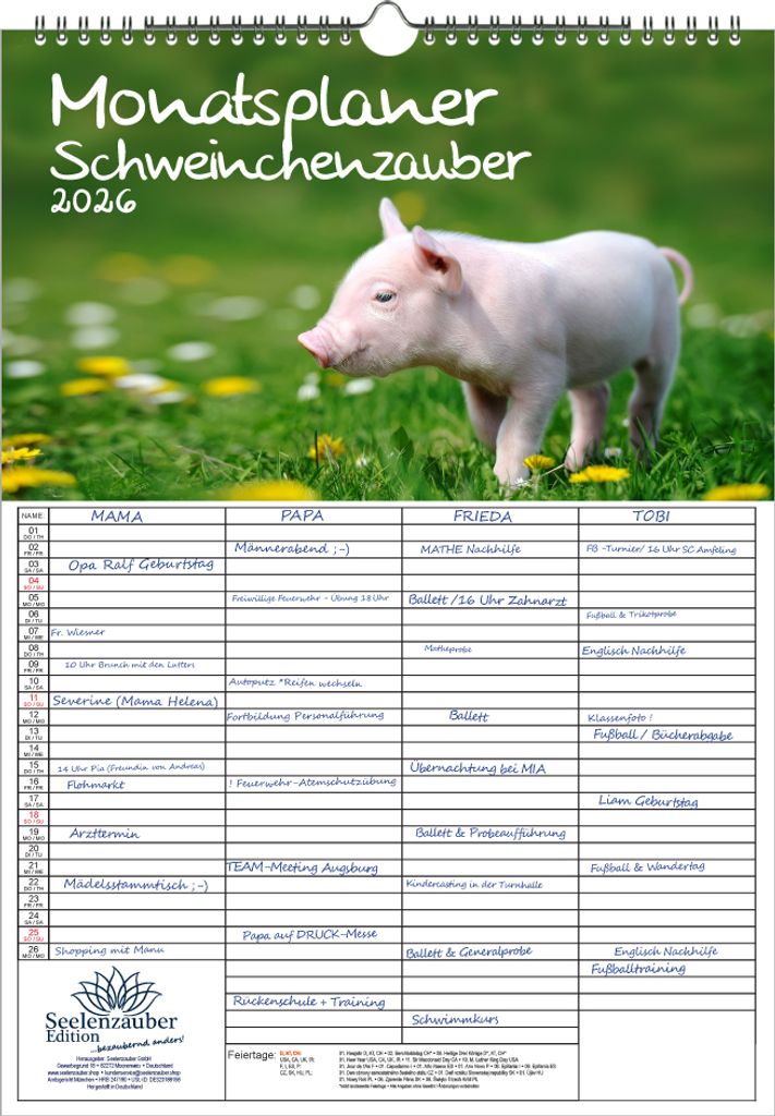 Schweinchenzauber Planer Familienplaner 4 Spaltenplaner DIN A3 Kalender für 2026 Schweine Schweinchen - Seelenzauber
