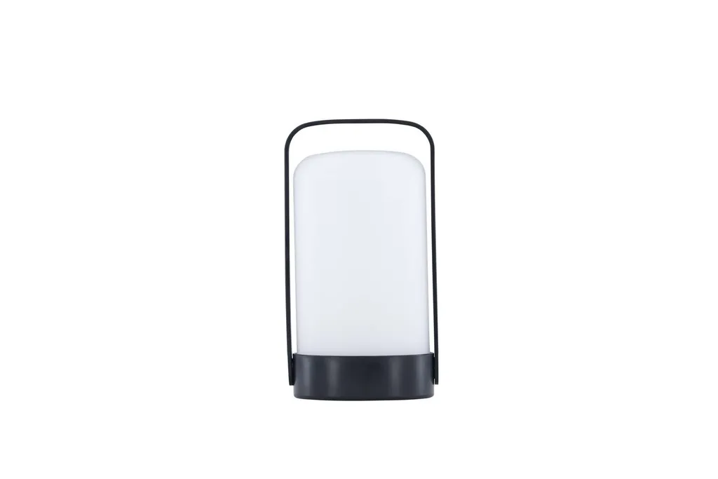 Luminaire de Table LED Noir Fern pour Terrasse et Jardin Chic et Moderne