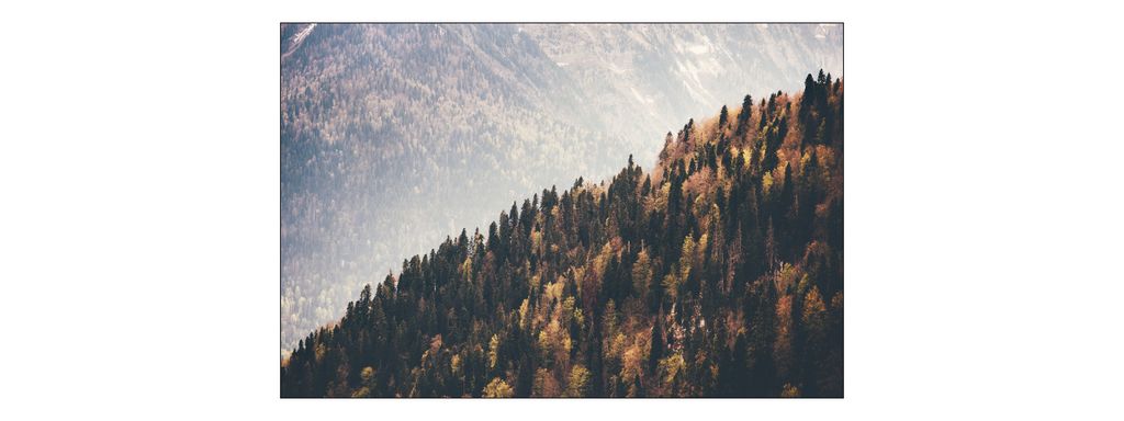 Muralo Fototapete Gebirge 180 (B) x 120 (H) cm Vlies Tapete Wandtapeten Berge Wald Ausblick Wohnzimmer Schlafzimmer moderne Wandbilder XXL Natur La...