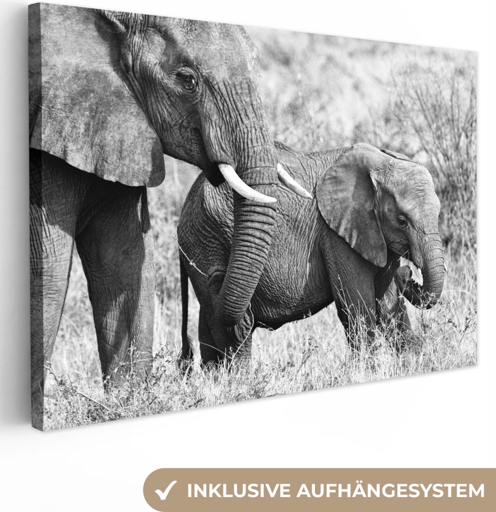 OneMillionCanvasses - Leinwandbilder - 140x90 cm, Elefant - Tiere - Gras - Schwarz und weiß, Wandbilder Kunstdruck Wanddekoration