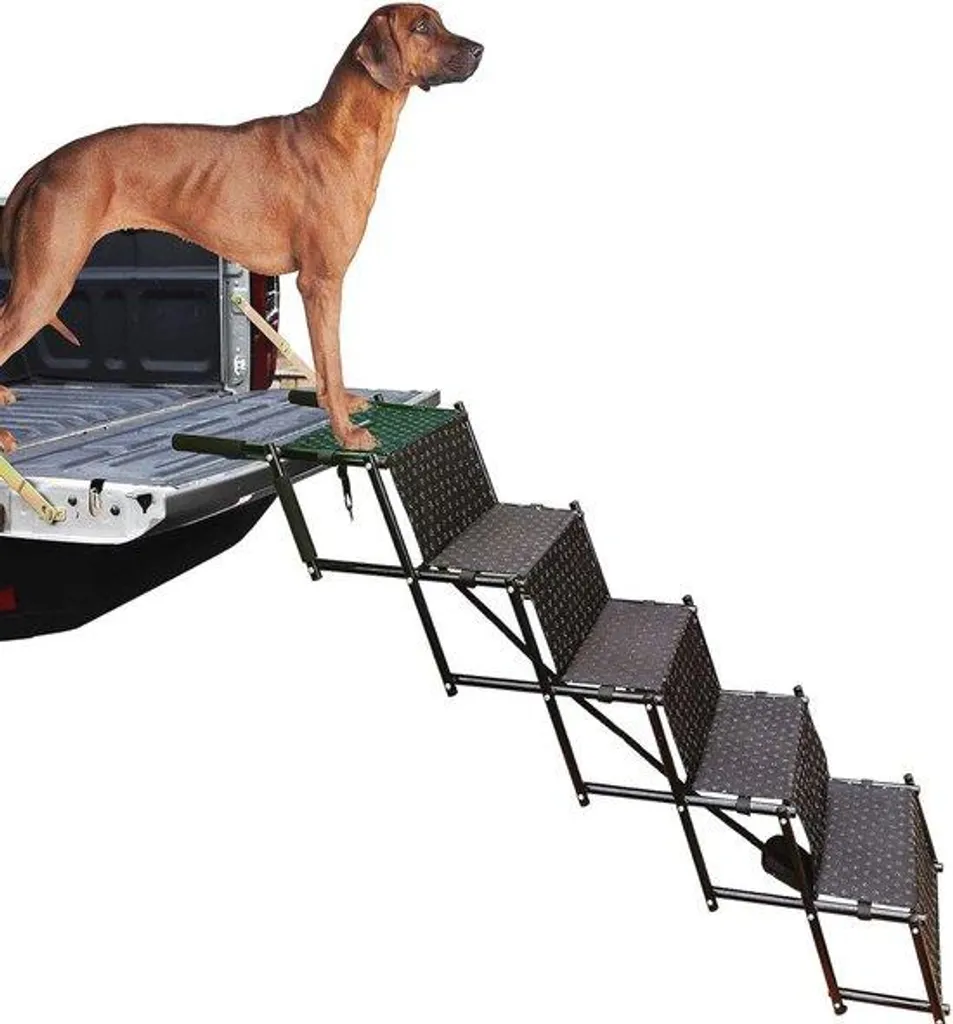 Escalier chien 5 marches métal pliable : évitez les douleurs et sauts