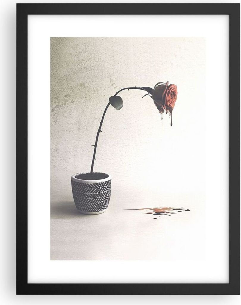 Gerahmtes Poster - Schwarzer Rahmen - Symbol Rose Leiden - 30x40 cm - Wand Bild - Wanddeko - Wandbilder - Kunstposter - Wandposter - Bilderrahmen -...