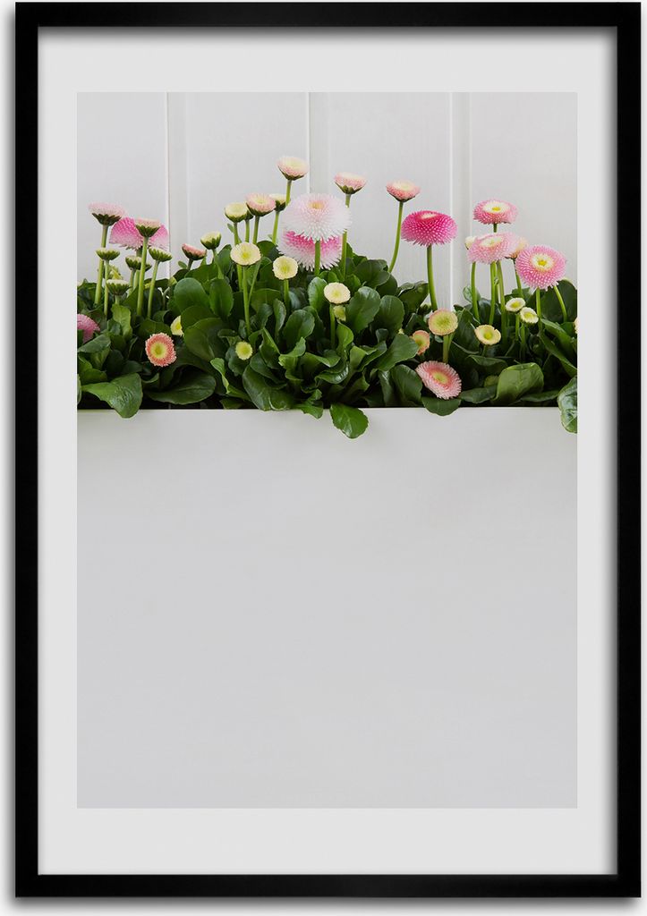 Bild - Bilderrahmen - 50 cm x 70 cm - MDF - Rahmen - Wandkunst Rosa Gänseblümchen