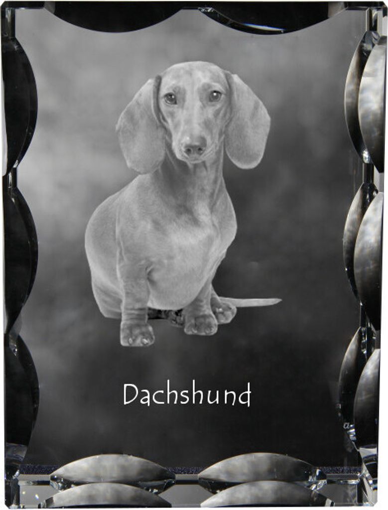 Dachshund Rauhhaar, Dackel, Teckel - Kristall mit einem Hundebild, Glasstatuette mit einem Bild, einzigartiger Bilderrahmen der Marke Art-Dog