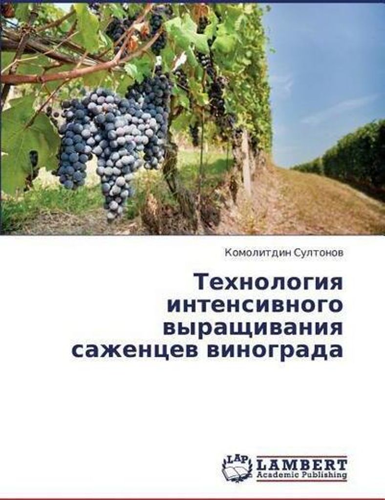 Tehnologiya intensivnogo vyrashhivaniya sazhencev vinograda