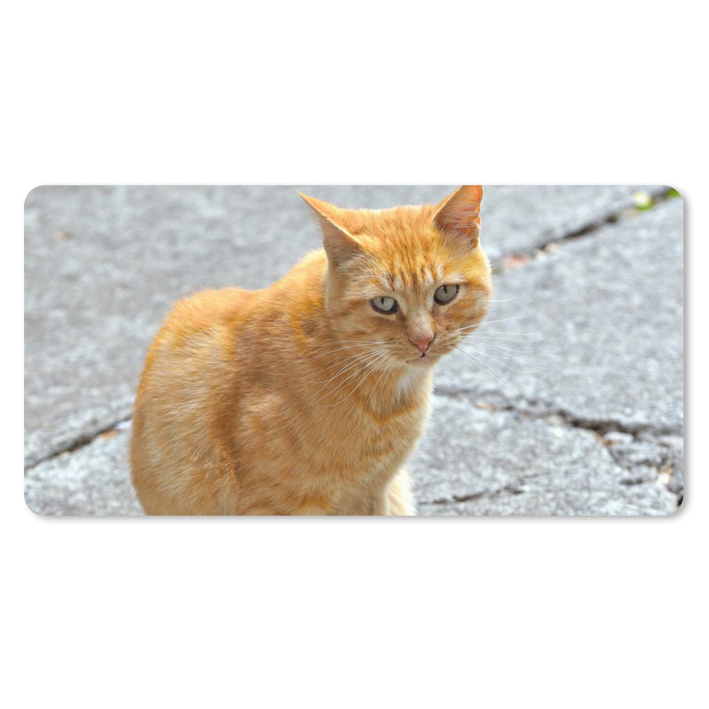 MuchoWow Mauspad Mousepad Katze - Rot - Straße - Mädchen - Kinder - Jungen - Kind 60x30 cm - Mousepads - Maus Mat - Pad - Mausunterlage - Nachh...