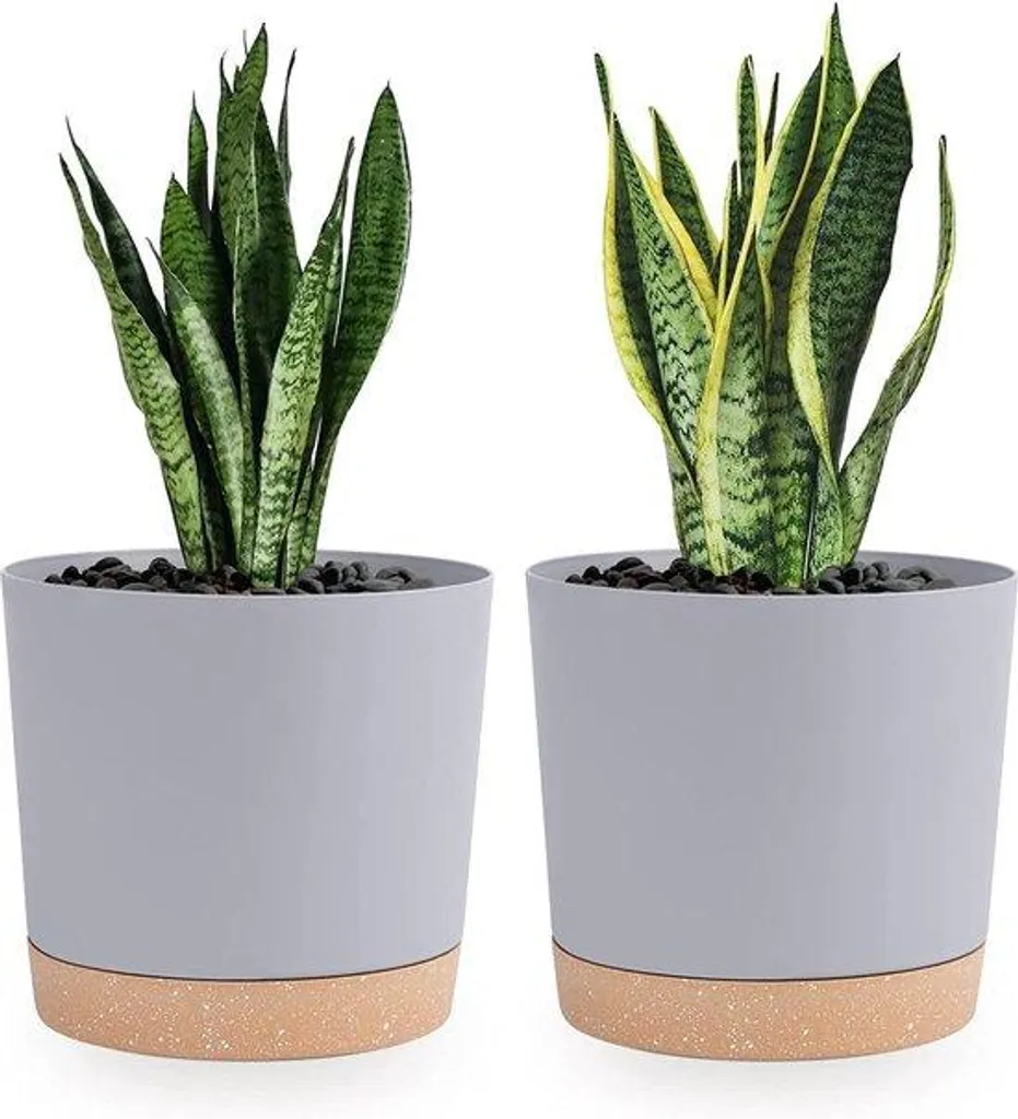 Pots de fleurs design 20,5 cm avec fond amovible et drainage - Lot de 2