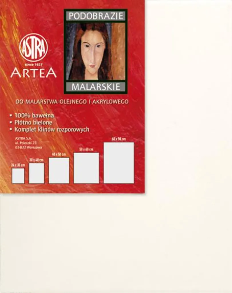 Tela da pittore 60x80cm ASTRA - 1