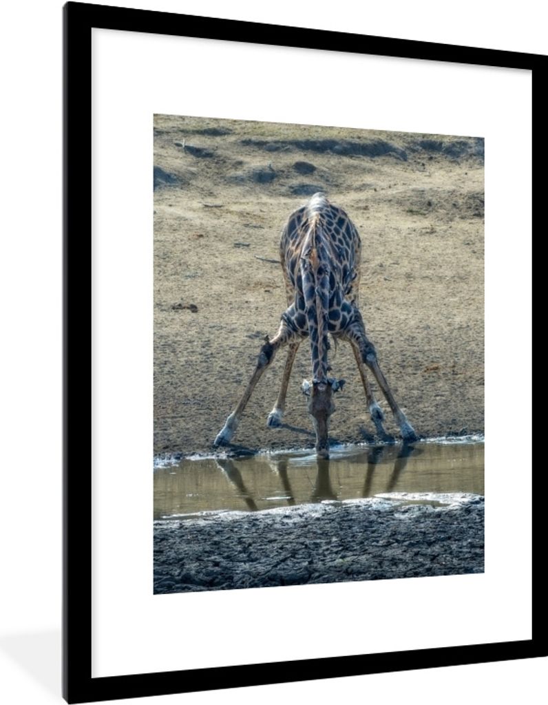 MuchoWow MuchoWow Gerahmtes Poster Giraffe - Tier - Wasser 60x80 cm - Poster mit zchwarzem Bilderrahmen - Wohnzimmer - Dekorationen - Prämie