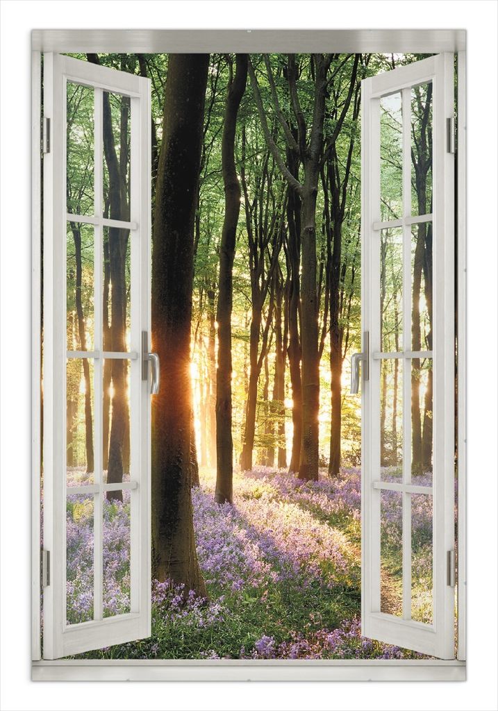 Wallario Wandbild mit Fenster-Illusion: Blaue Hasenglöckchen im Wald mit Sonnenstrahlen, Größe: 61 x 91,5 cm, Poster mit rahmenlosen Bildhalter