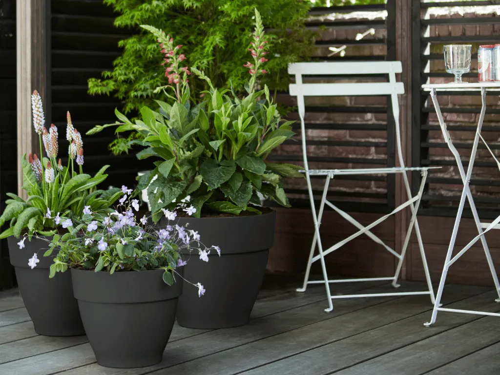 Pot de Fleurs de Balcon 40cm Anthracite Elho Vibia Campana Extérieur