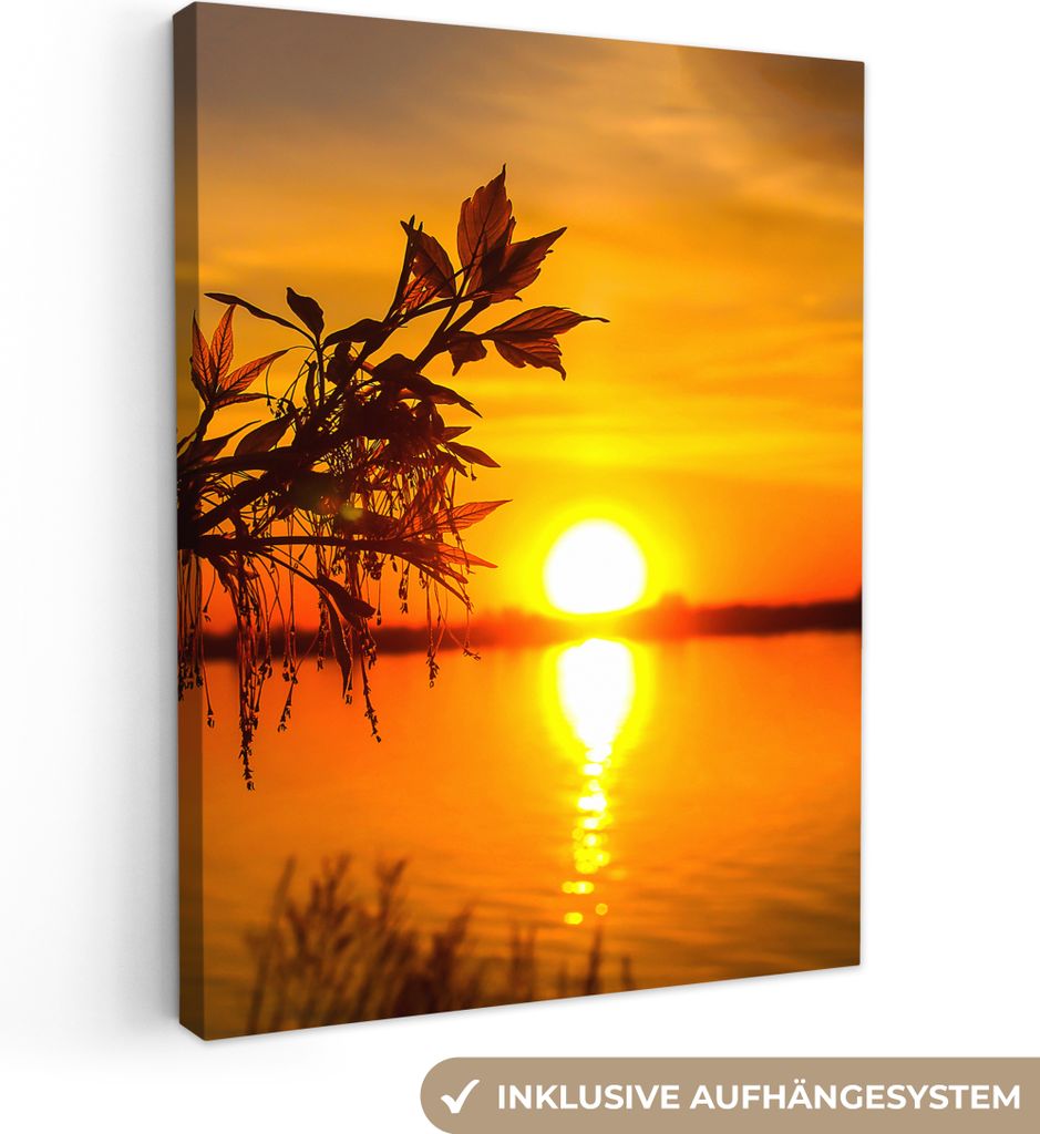 MuchoWow - Leinwandbilder - Sonnenuntergang - Wasser - Pflanzen - Orange, Wandbild, Wanddeko Bilder Wohnzimmer, 30x40 cm