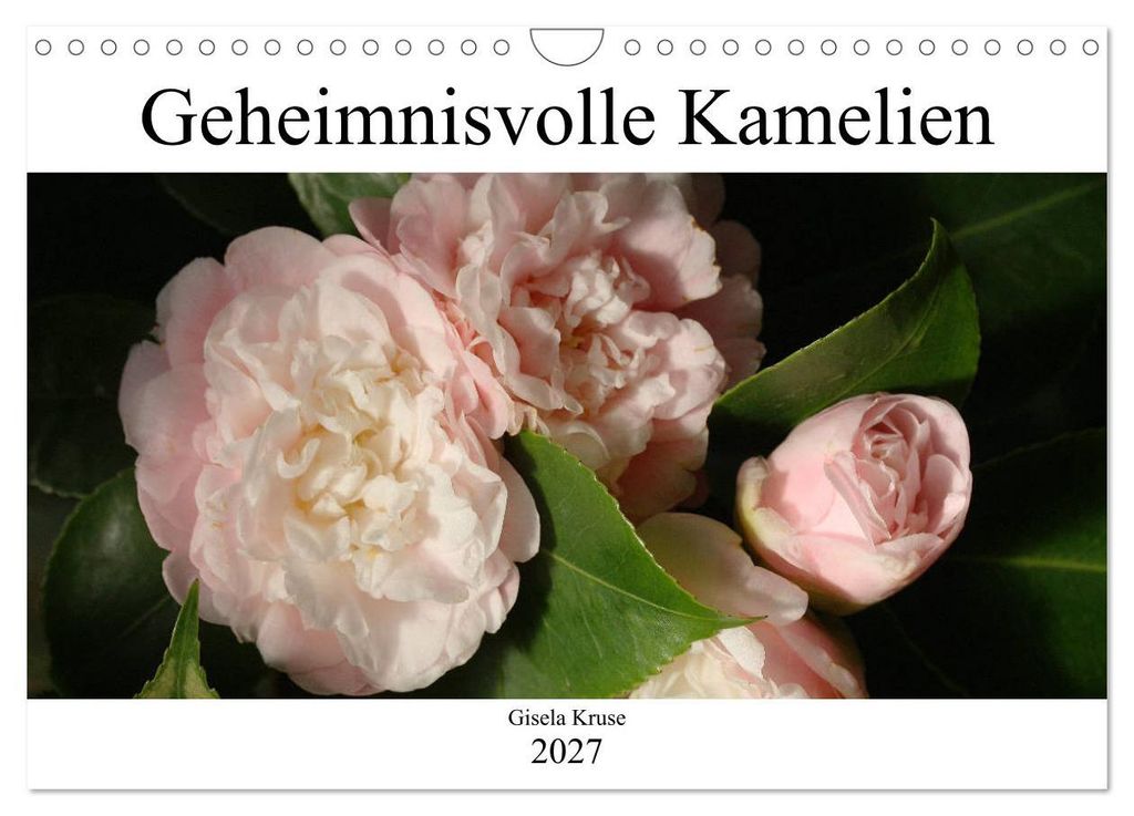 Geheimnisvolle Kamelien (Wandkalender 2027 DIN A4 quer), CALVENDO Monatskalender