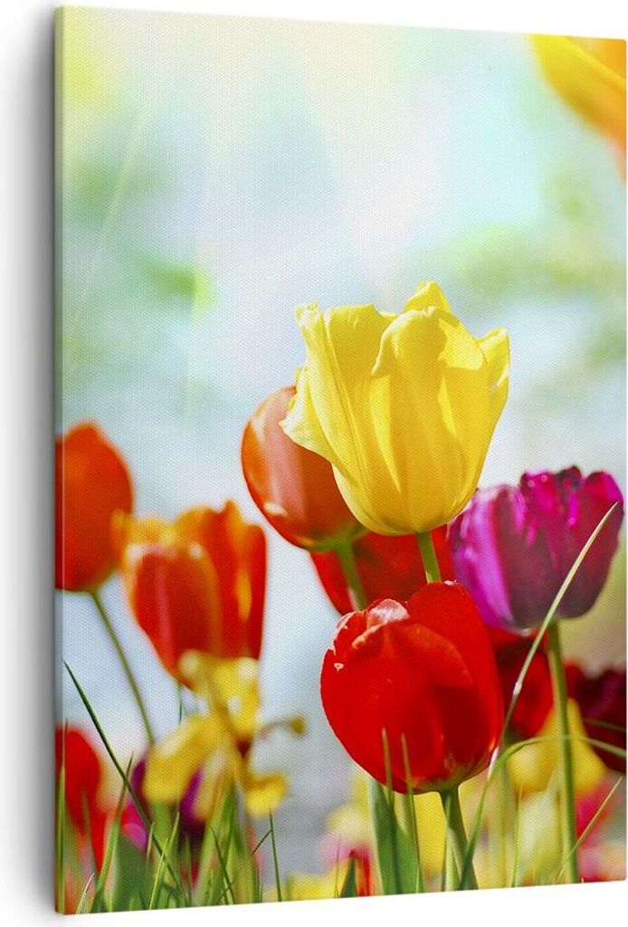 Bild auf Leinwand - Leinwandbild - Einteilig - Tulpe Blume Plantage Wiese - 50x70cm - Wand Bild - Wanddeko - Wandbilder - Leinwanddruck - Wanddekor...