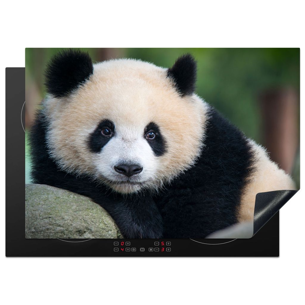 KitchenYeah Herdabdeckplatte Panda - Wildtiere - Porträt - Stein , 75x52cm, Küche Deko, Glaskeramikfeld Herdabdeckung, Abdeckplatte fùr Kochfeld