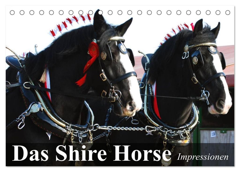 Das Shire Horse. Impressionen (Tischkalender 2027 DIN A5 quer), CALVENDO Monatskalender