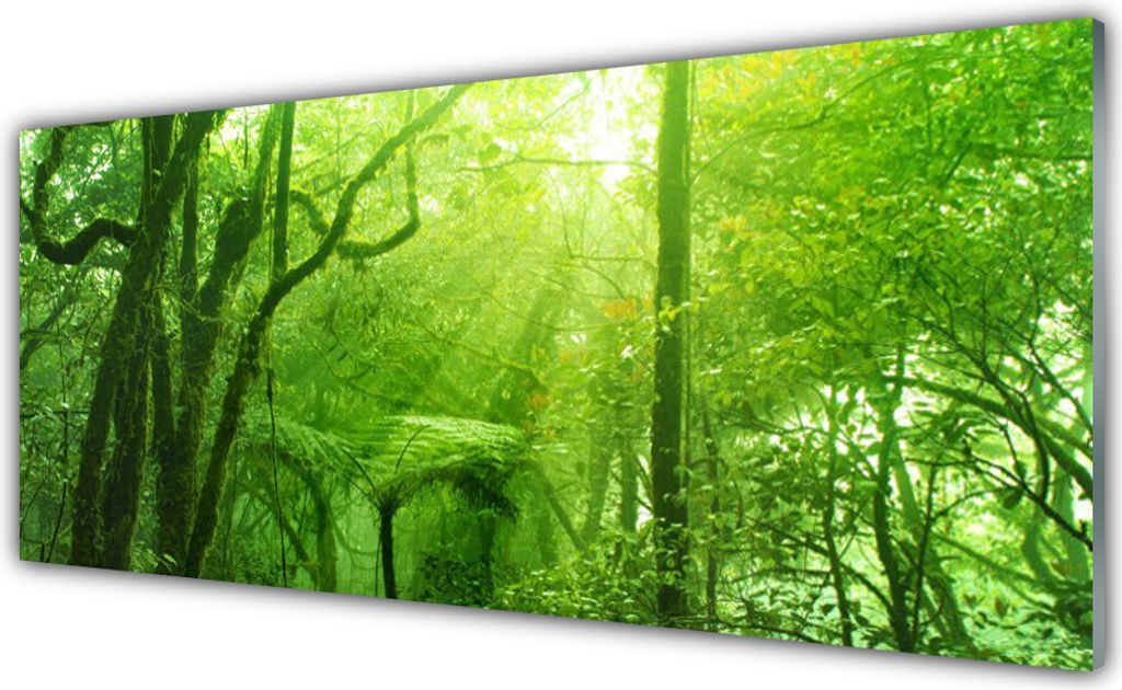 Glasbilder 125x50 Wandbild Druck auf Glas Bäume Natur