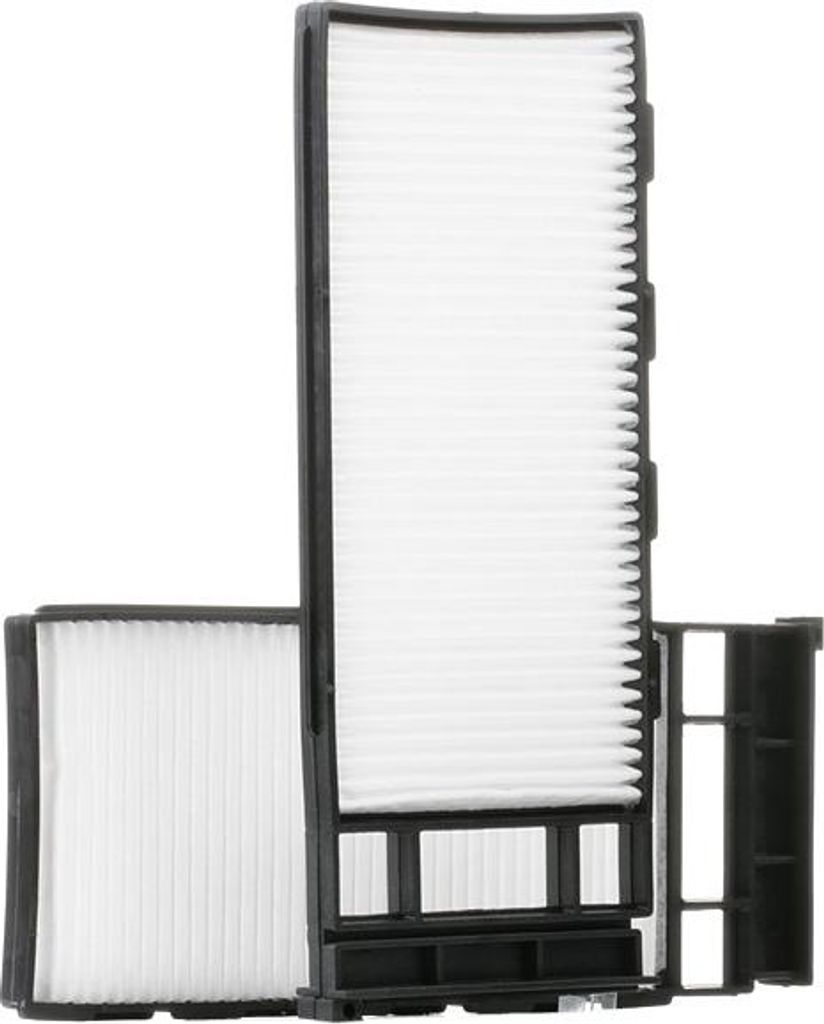 RIDEX 424I0163 Innenraumfilter Pollenfilter für NISSAN Patrol GR V SUV (Y61)