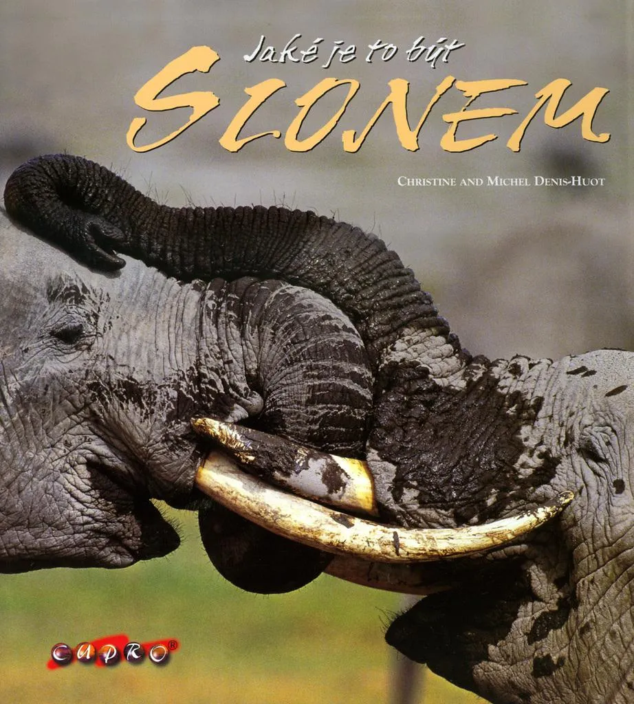 Livre Jaké je to být slonem par Denis-Huot Michel - Grand Format Album