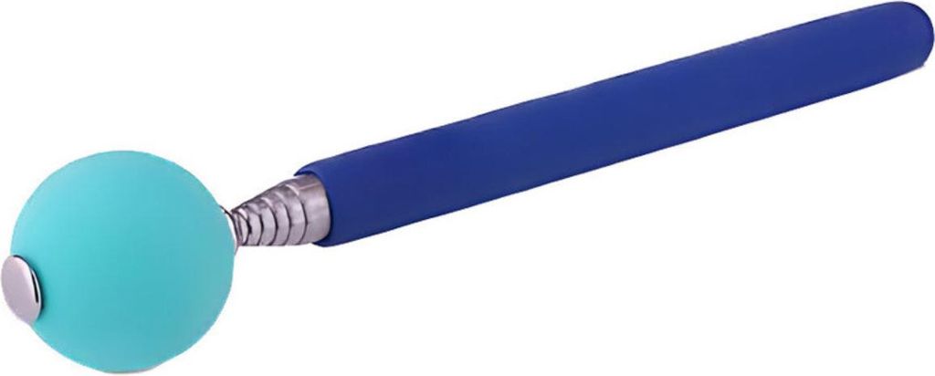 The Company of Animals Company of Animals Coachi Target Stick Pointing Stick blau