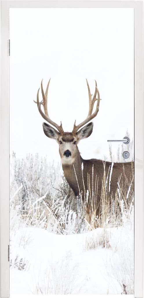MuchoWow Türtapete Selbstklebende Türfolie Hirsche - Winter - Schnee - Tiere - Jahreszeiten - Weiß 75x205 cm Türposter Türaufkleber Klebefol...