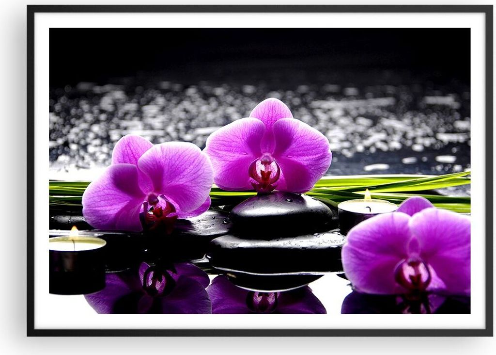 Gerahmtes Poster - Schwarzer Rahmen - Orchidee Natur Wasser Blume - 100x70 cm - Wand Bild - Wanddeko - Wandbilder - Wandposter - Bilderrahmen - Bil...