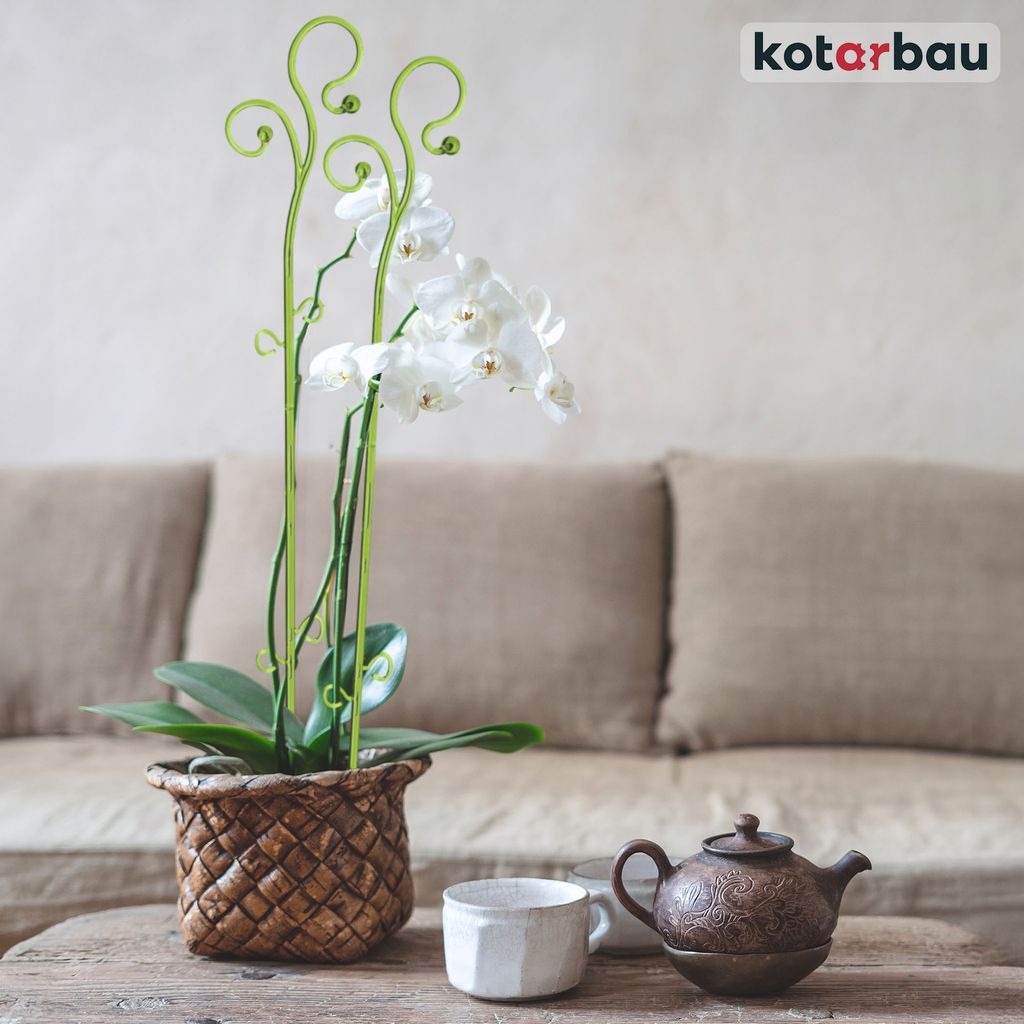 KOTARBAU® Sada 6 podpěr pro rostliny zelená PVC 58 cm Obrázek produktu 7