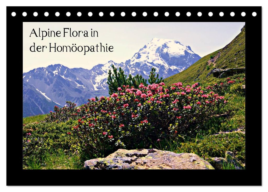 Alpine Flora in der Homöopathie (Tischkalender 2027 DIN A5 quer), CALVENDO Monatskalender