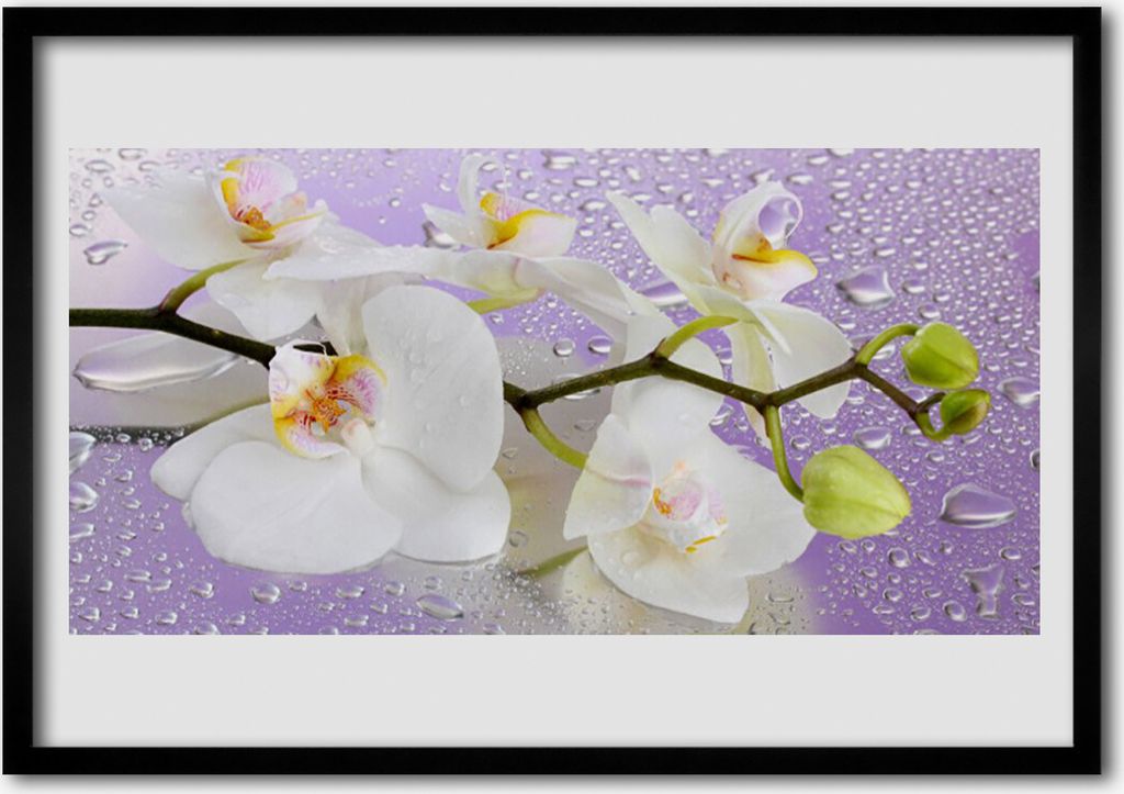 Bild 100x70 MDF-Rahmen Wandkunst Blumen Pflanzen Natur