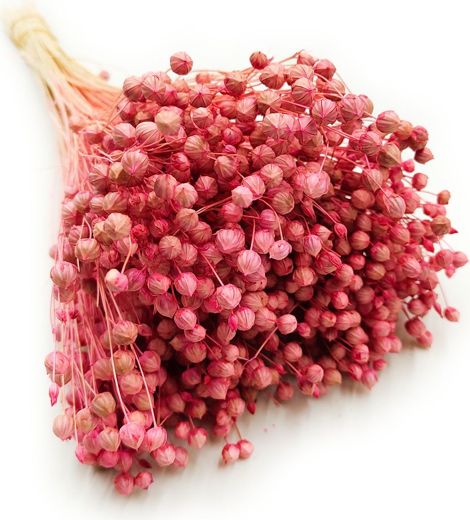 Flachs Getrocknete - (Leinen) - Rosa Produktbild 