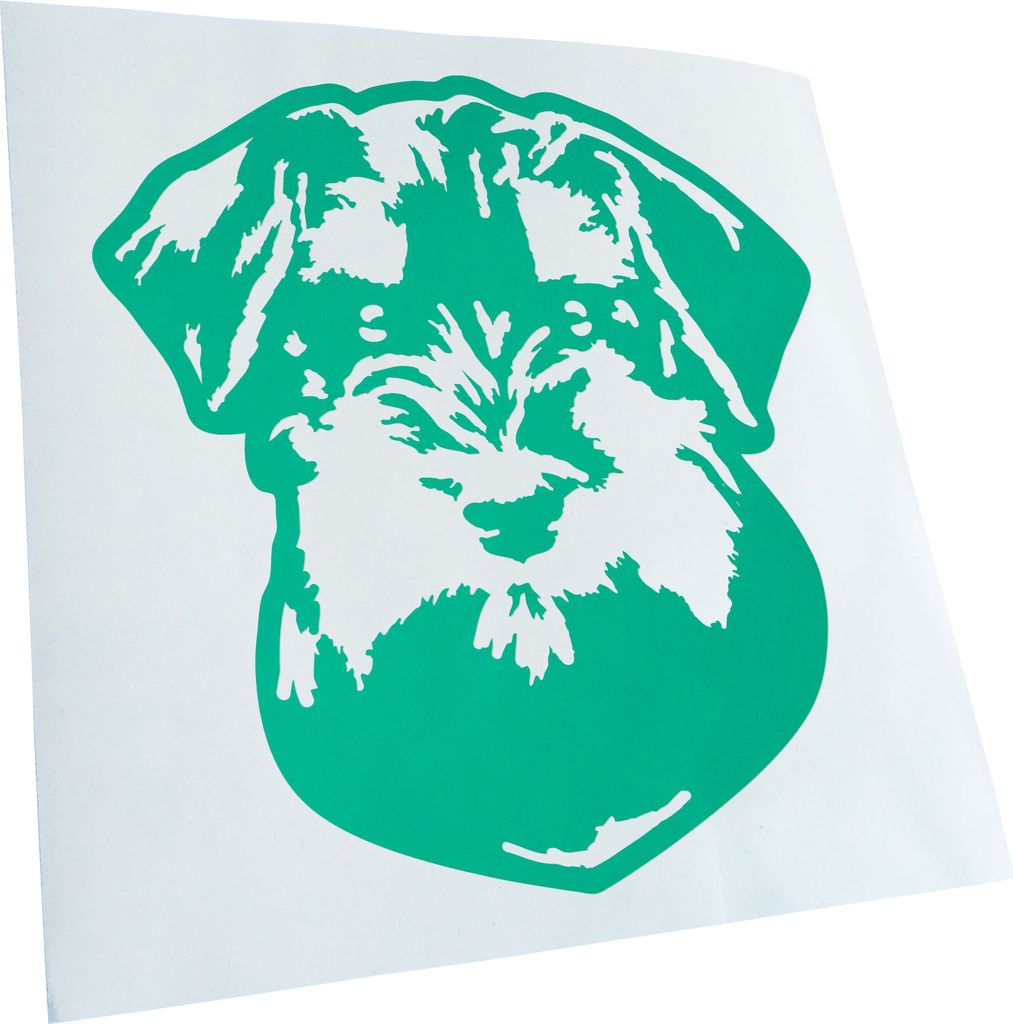 Kiwistar - Autoaufkleber - miniature Schnauzer Hund - Türkis - 40x36cm - Aufkleber für Auto, Laptop, Fahrrad, LKW, Motorrad mehrfarbig JDM Decal ...