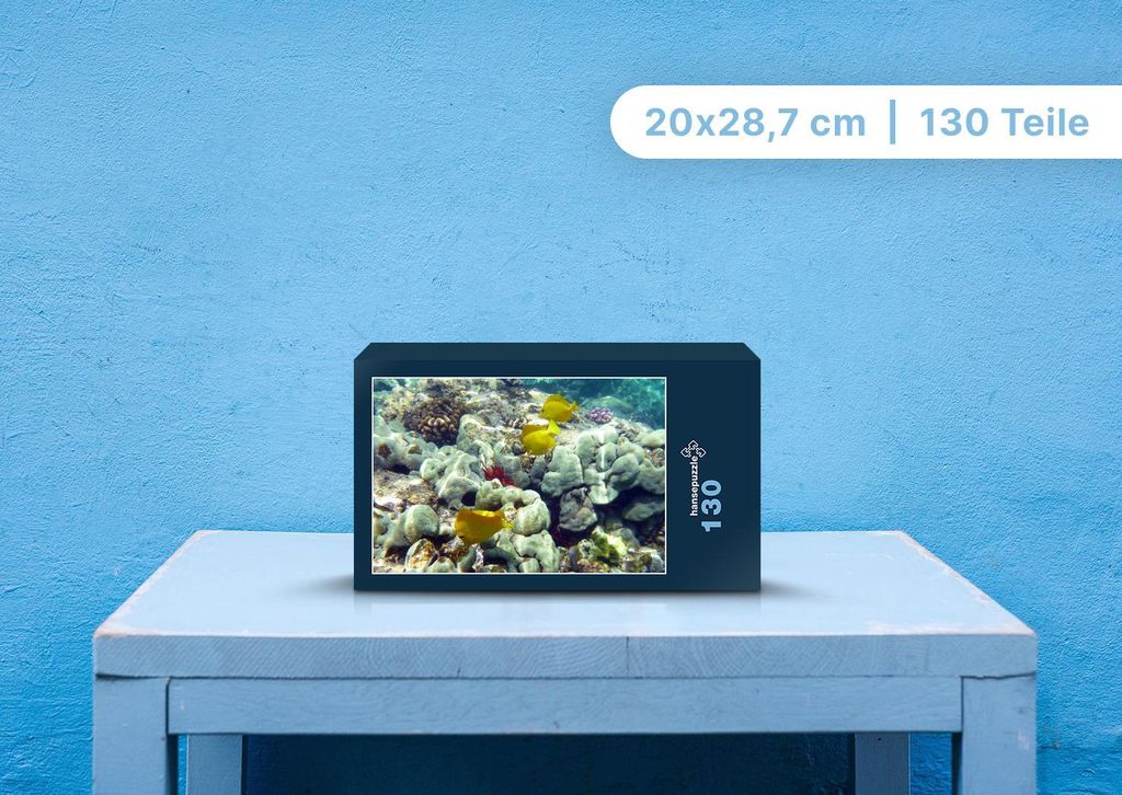 hansepuzzle 103070 - Fische Puzzle, 130 Teile, Tierwelt, 28,7 x 20,0cm mit hochwertiger Aufbewahrung, Kartonbox und wiederverschließbarem Beutel