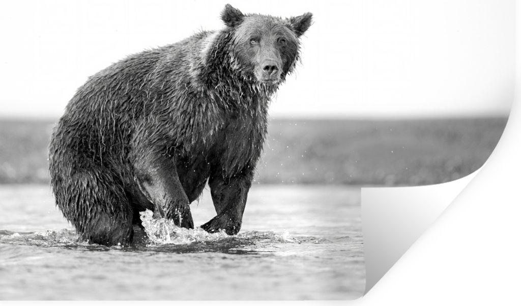 MuchoWow - Wierderverwendbar - Selbstklebend