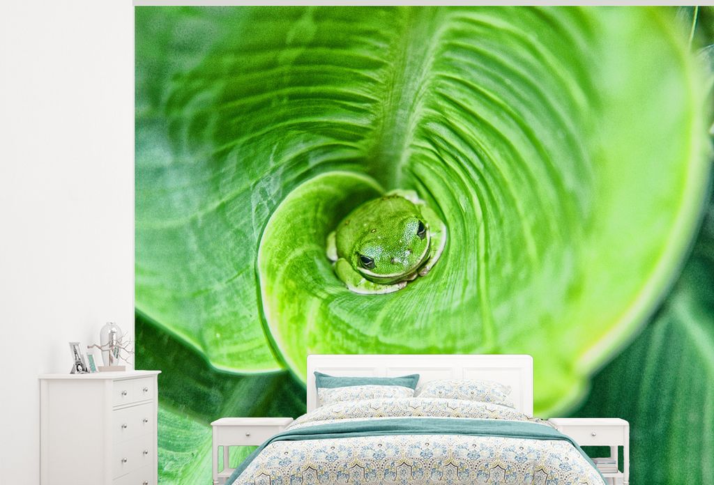 MuchoWow Fototapete für Wohnzimmer oder Schlafzimmer Wandtapete Vinyl Motivtapete Versteckter Laubfrosch in einer Canna-Pflanze - 325x260 cm - T...