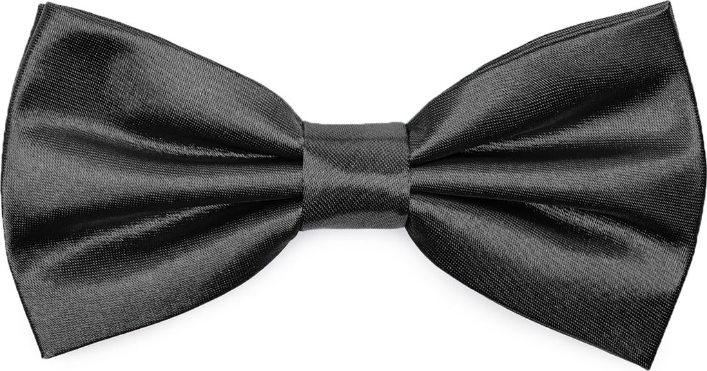 Ladeheid Elegante Herren Fliege -Hochwertig Glänzend Verstellbar BMS (12cmx6cm)