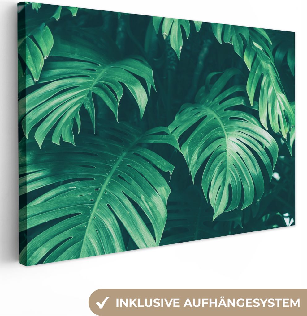MuchoWow - Leinwandbilder - Monstera - Blätter - Pflanzen - Dschungel - Natur, Wandbild, Wanddeko Bilder Wohnzimmer, 60x40 cm
