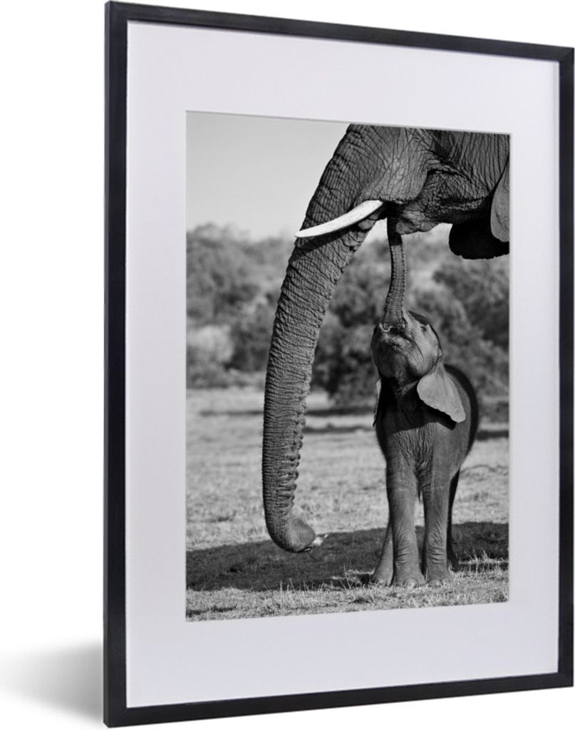 MuchoWow Gerahmtes Poster Baby-Elefant kommuniziert mit Mutter - schwarz-weiß 30x40 cm - Poster mit Schwarzem Bilderrahmen Wandposter Rahmen Fot...