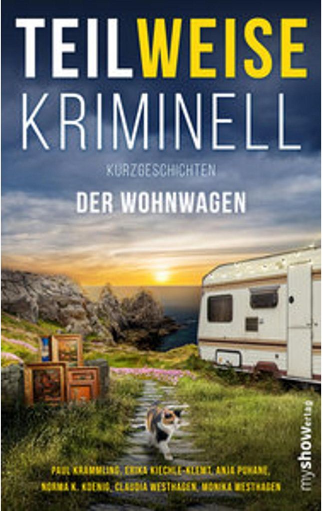 Teilweise Kriminell