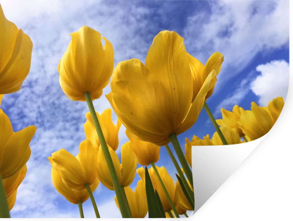 MuchoWow - Aufkleber