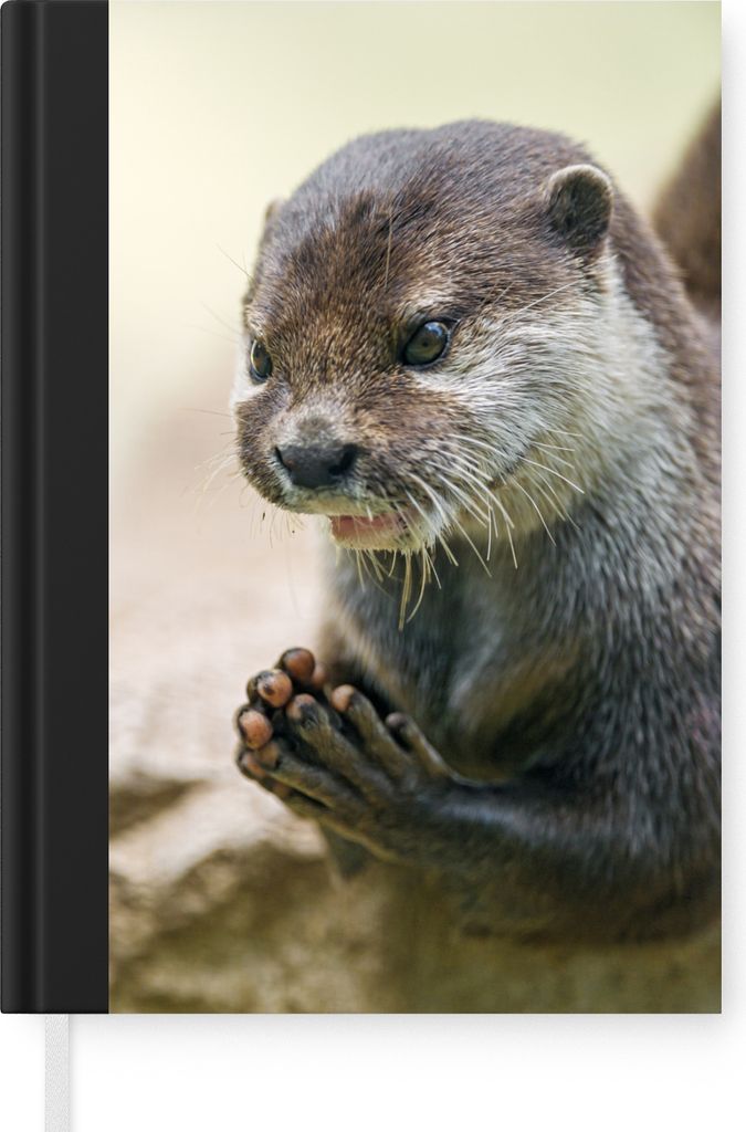 MuchoWow Notizbuch Tagebuch Haushaltsbuch Notebook A5 Ein Otter mit zusammengelegten Beinen - Notizblock - Notizheft - Notebook - Schreibblock - ...