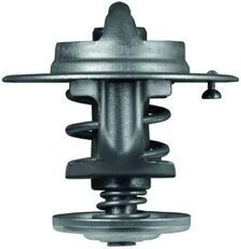 Thermostat BEHR TX 80 83 - Finissez-en avec la surchauffe moteur
