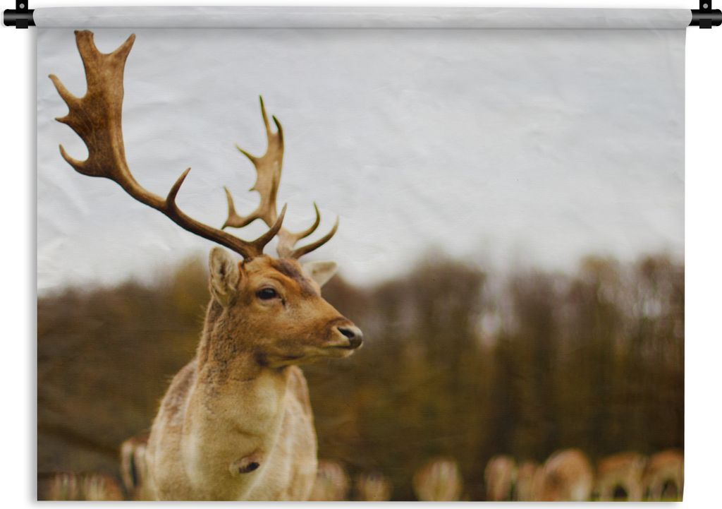 MuchoWow Wandteppich Wandbehang Damhirsch - Wald - Herde - Tiere - Natur 60x45 cm Tapisserie Dekoration Wandtuch - Das Schlafzimmer