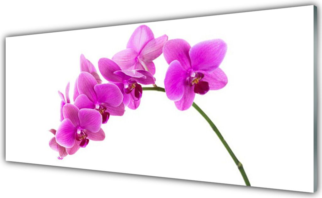 Küchenrückwand aus Glas 125x50cm Spritzschutz Blumen Pflanzen